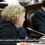 Τατιάνα Καλογιάννη: Περί μνημονίου διασυνοριακής συνεργασίας για τον Αώο